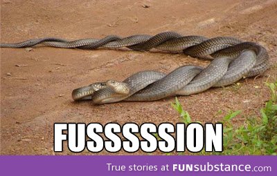 Fusssssion