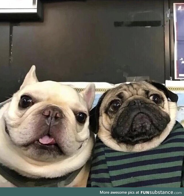Every old couple on Skype for the first time