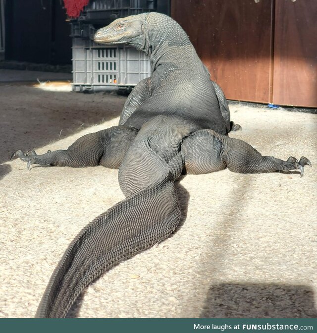 Learning some new moves