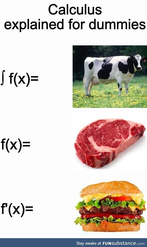 Calculus explained for dummies