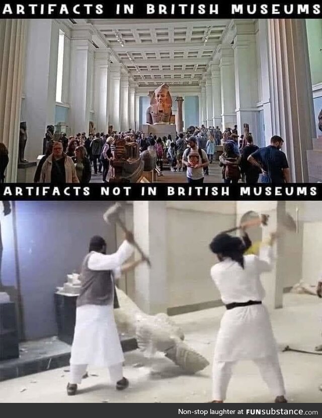 We discovered them for you