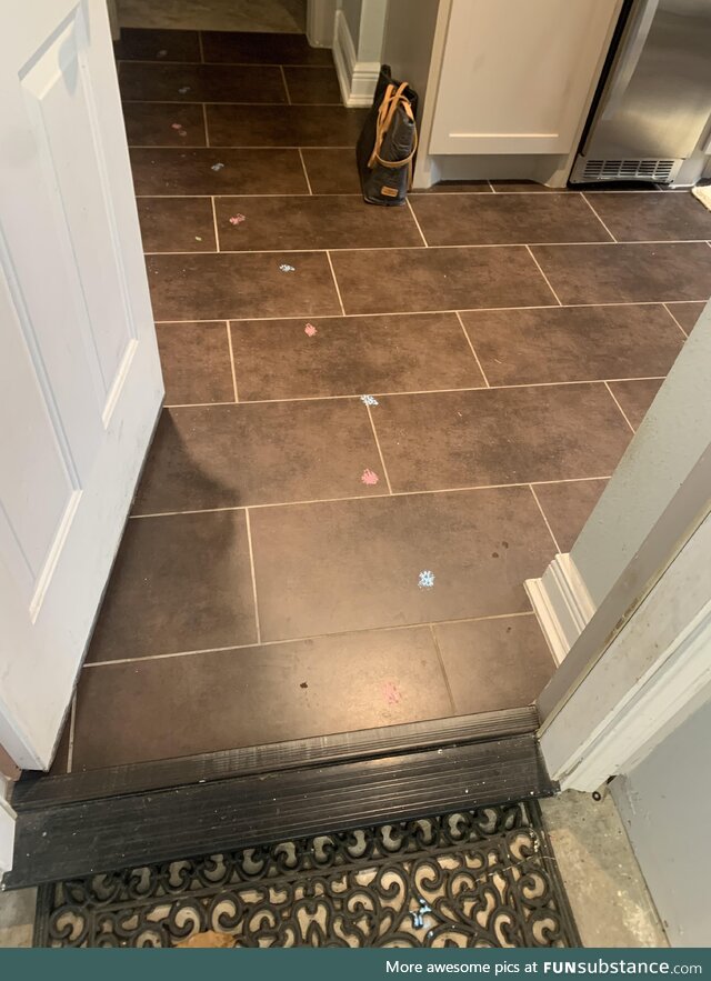 My cat got her paws in the pink and the blue paint!