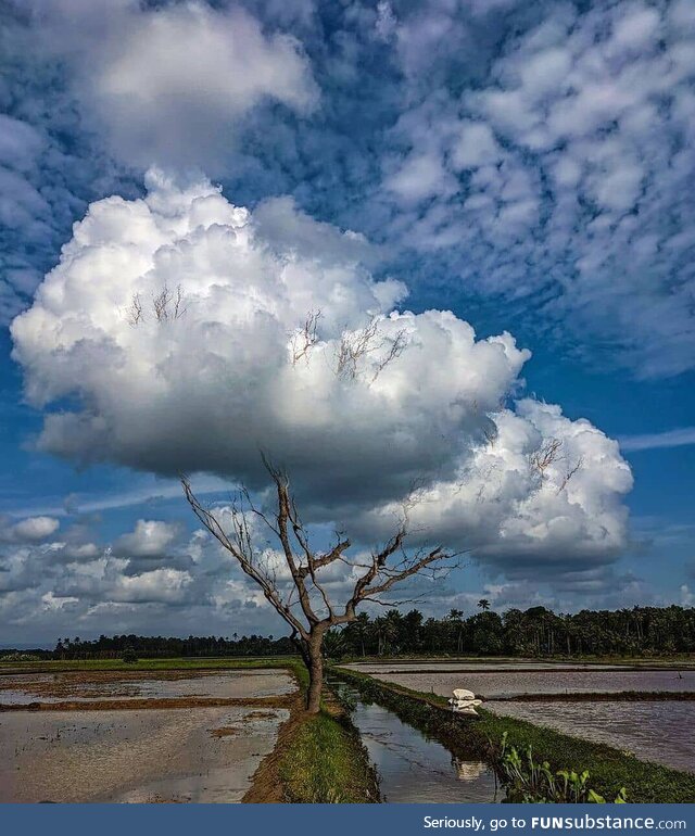 Such wonderful picture