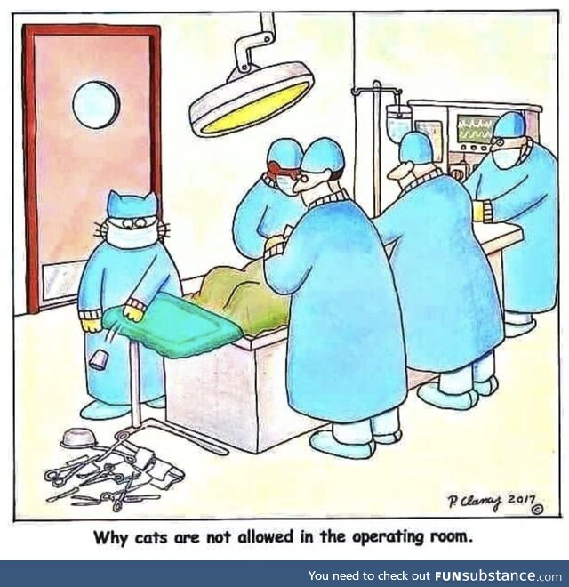 And Cuz they bring their own scissors