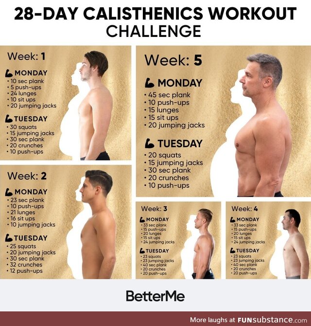 Try to follow the 28-day Calisthenics challenge from BetterMe. Right in your own