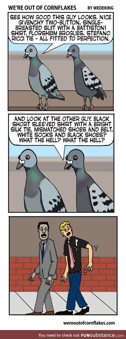 How pigeons pick their targets