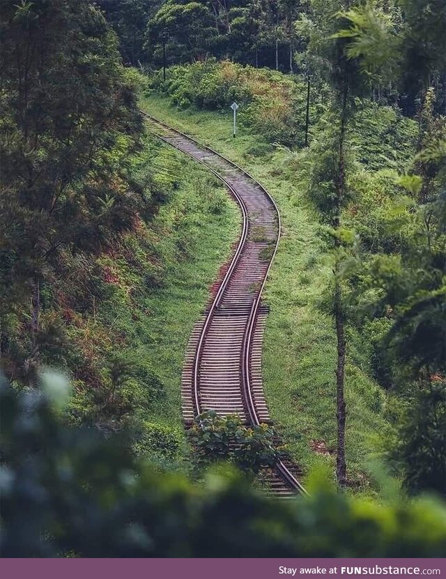 Winding track. Haputale SL