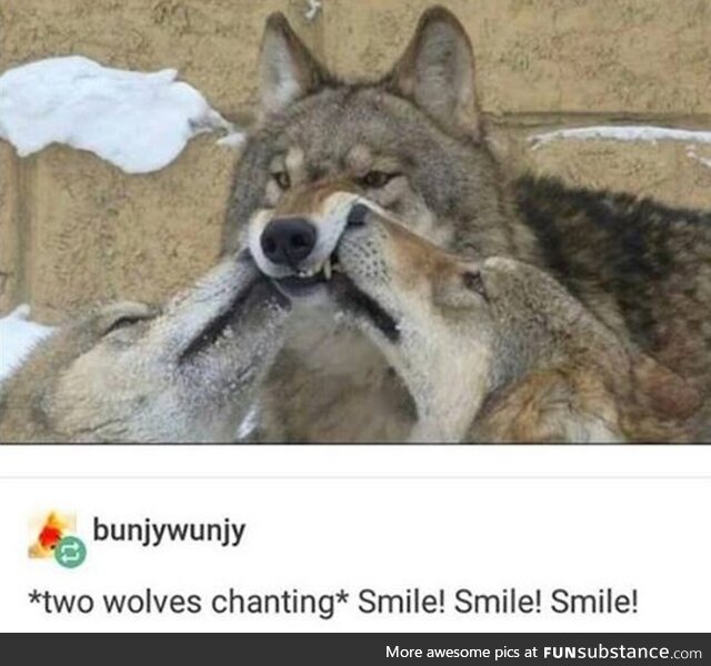 Well-bred garbled scandalized