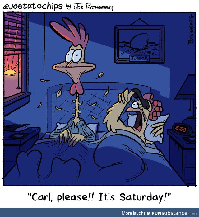 [oc] ruffling feathers