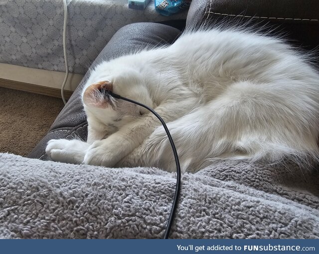 Don't forget to charge your cat every once in a while