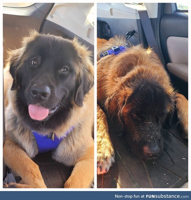 Before and after a day at the beach. (OC)