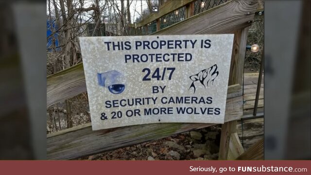 The best security system