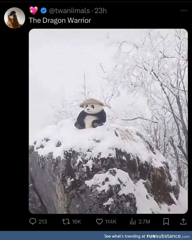 Smart outstanding tidy