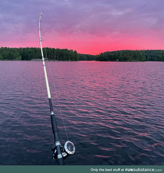 Pink sky in Finland last night [OC]