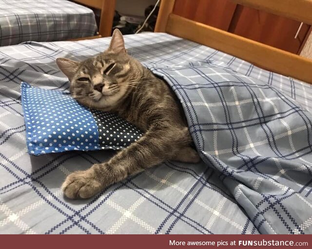 Good night band see you tomorrow