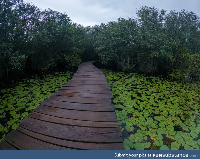 Beddagana wetland park  sri lanka