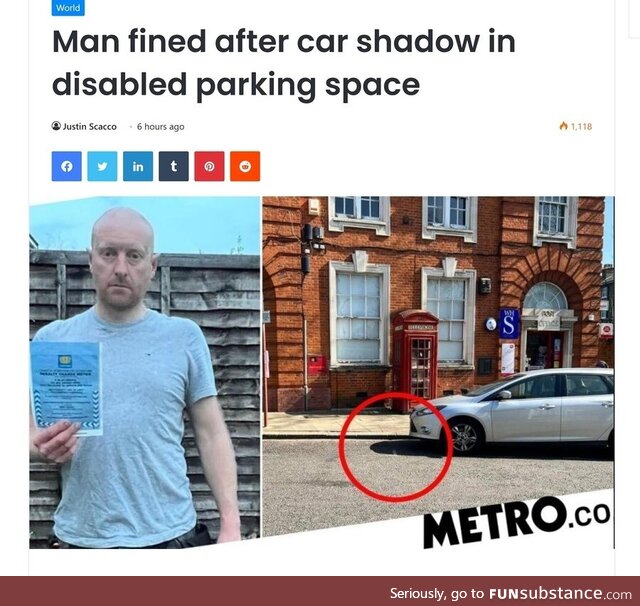 Enlivened Chinchilla