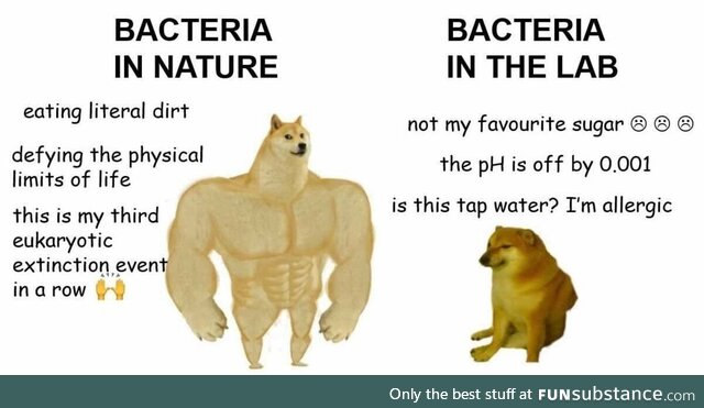 Intolerable spooky engraved