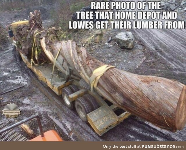 Hard extra-large craven