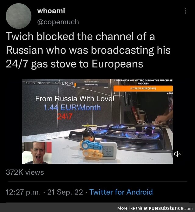 Mysterious Alligator