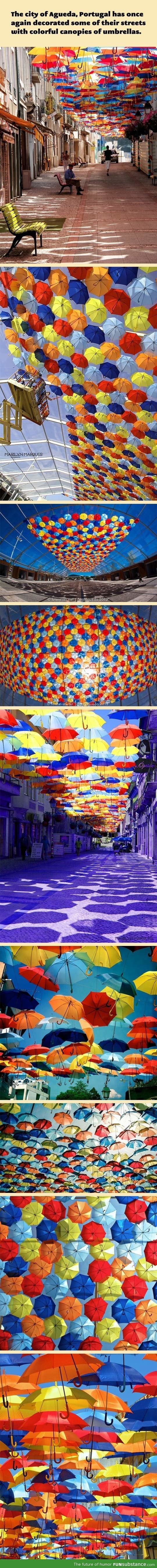 Colourful umbrella shelters the streets of Portugal