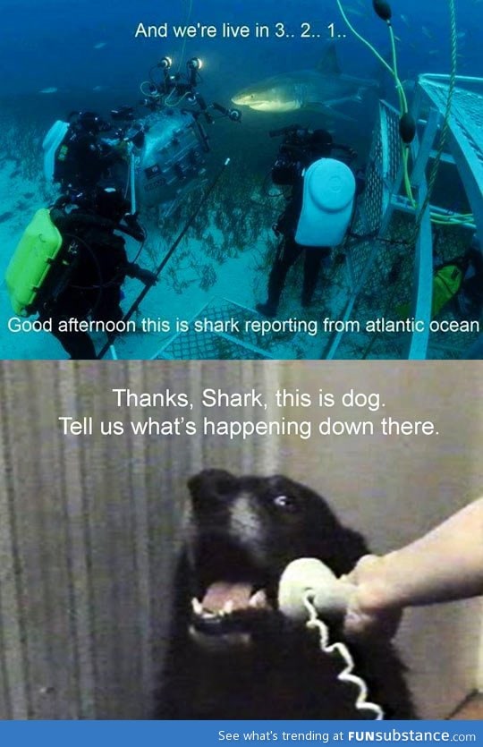 Underwater report