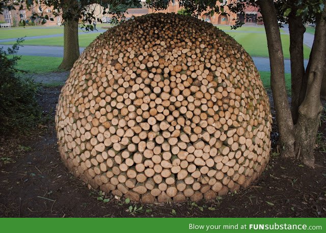 Beautifully stacked firewood
