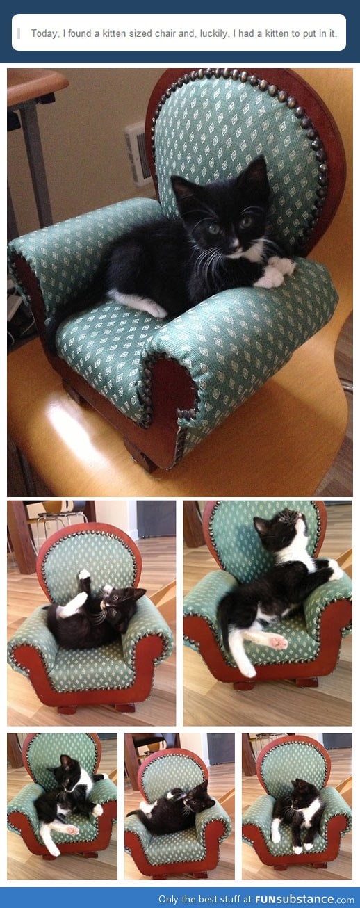 What to do with a kitten-sized chair