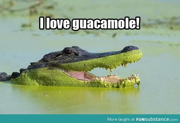 Guac croc