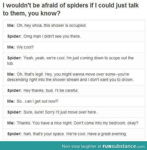If you could talk to spiders