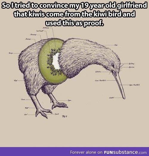 The Truth About Kiwis Funsubstance