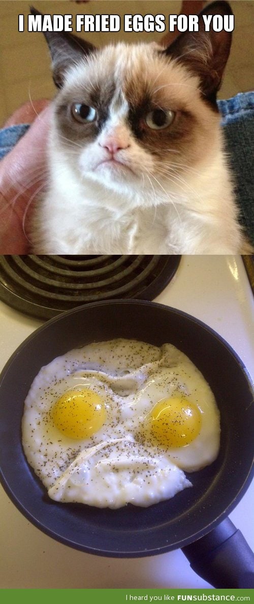Grumpy eggs