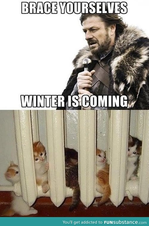 Brace yourselves kitties