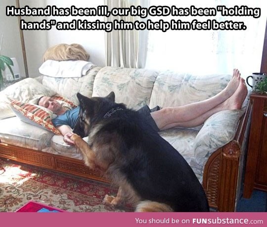 Further proof that dogs are the best