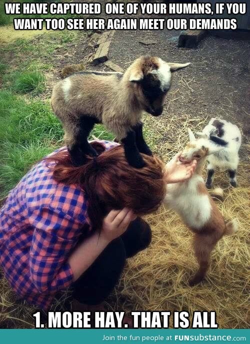 Evil goat hostage situation