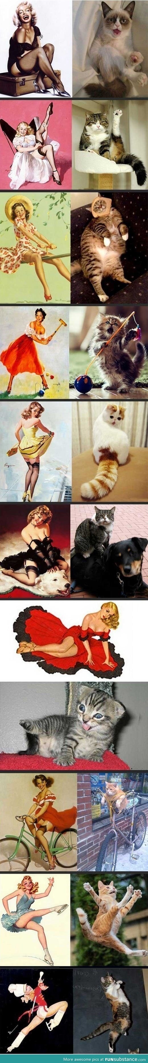 Girls vs. Cats