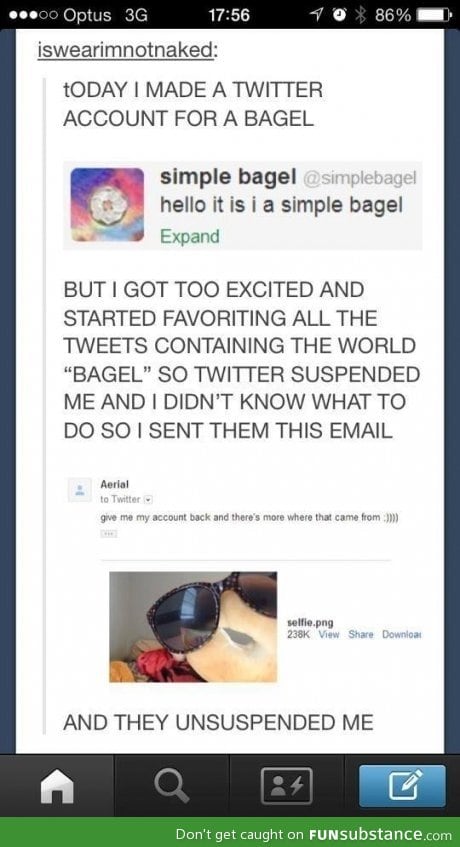 Bagel obsession