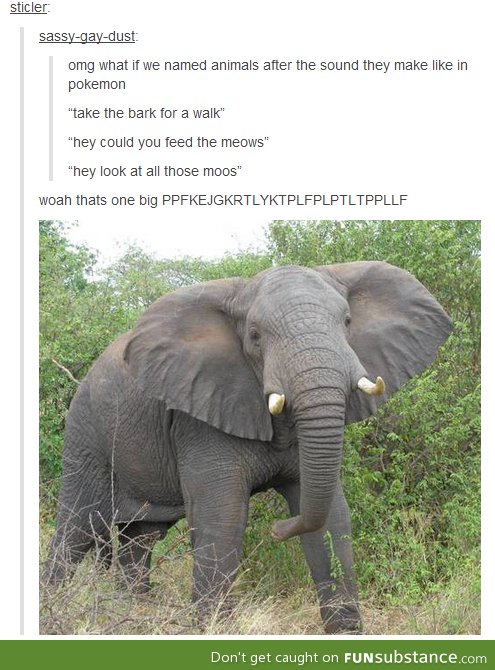 If animals were named after their sounds