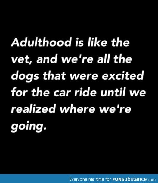 Adulthood is like we're dogs