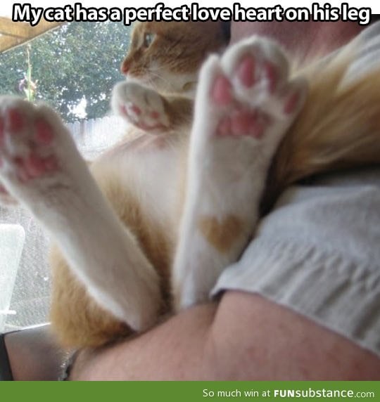 A perfect heart