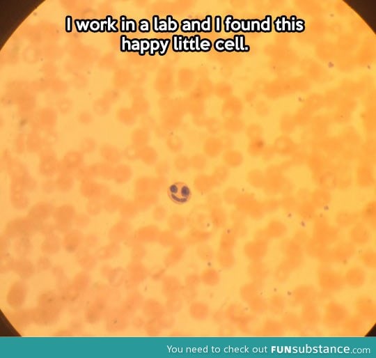 It's a happy cell