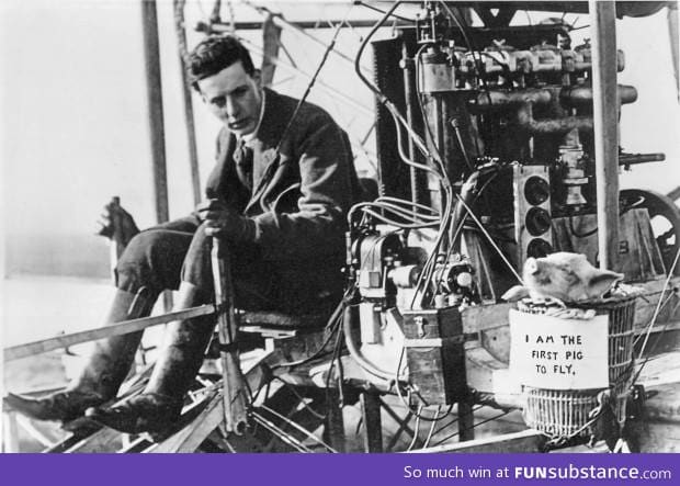 I am the first pig to fly. 4th November 1909