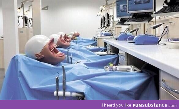 Dental mannequins are kind of terrifying