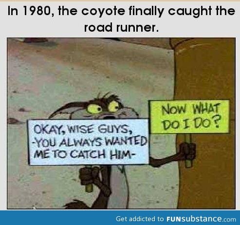 Coyote & road runner