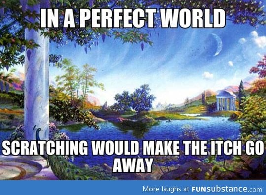 If the world was perfect