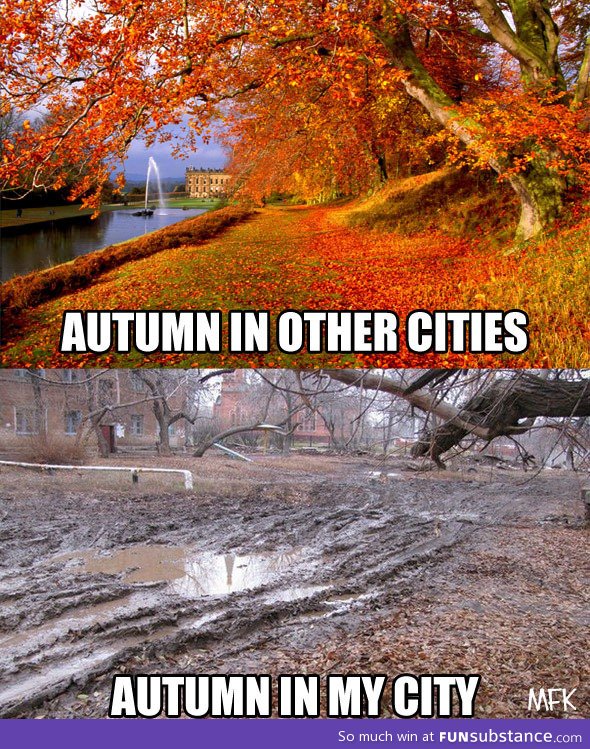 My autumns suck