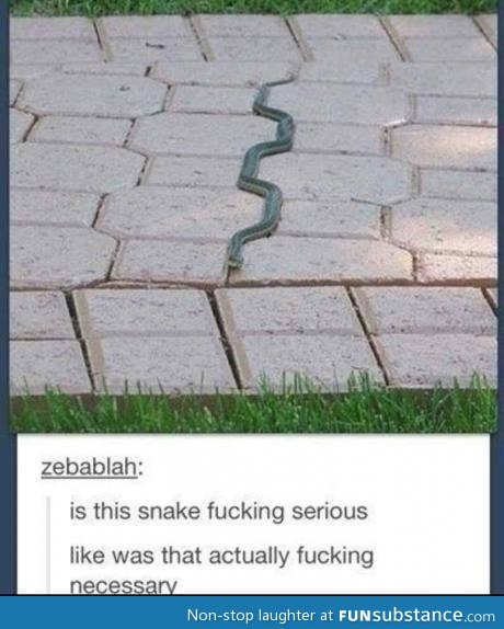 One bored snake