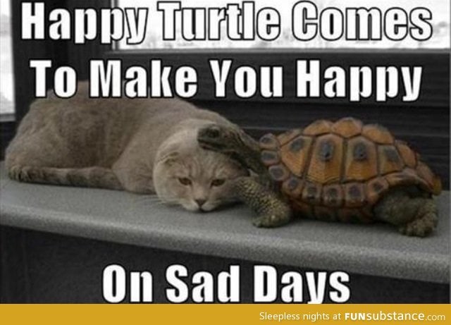 Thanks happy Turtle