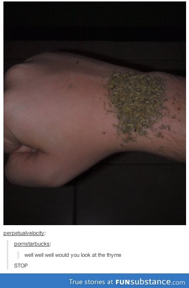 would you look at the thyme