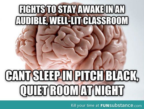 The brain on sleeping